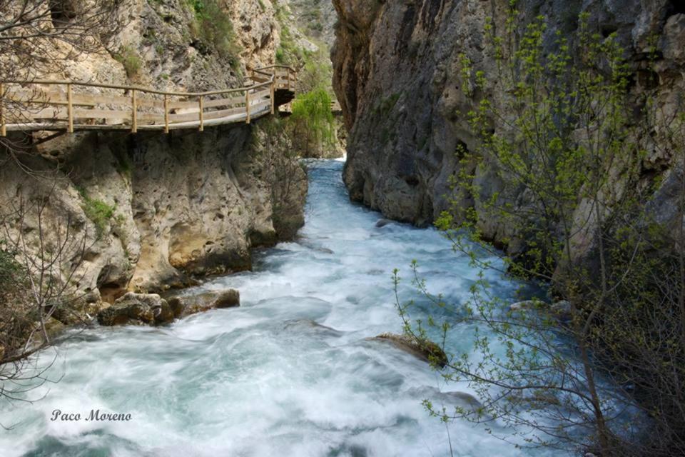 Cuevas del Campo Alojamiento Rural, Cueva De La Abuela المظهر الخارجي الصورة