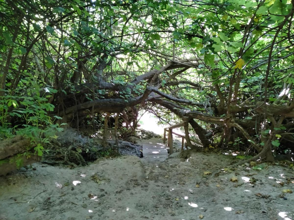 Cuevas del Campo Alojamiento Rural, Cueva De La Abuela المظهر الخارجي الصورة